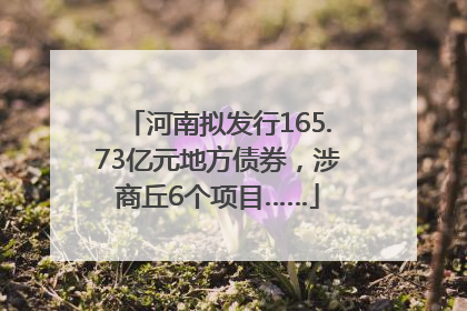河南拟发行165.73亿元地方债券，涉商丘6个项目……